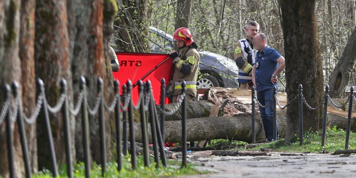 Tragedia w Rabce-Zdroju. Drzewo w miejskim parku przygniotło trzy osoby. 
