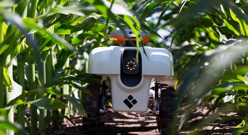 A Growing Presence on the Farm: Robots