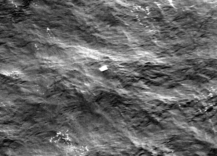 Szczątki zaginionego Airbusa A320