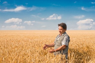 W 2014 r. rząd dołoży do ubezpieczeń rolnych 200,7 mln zł