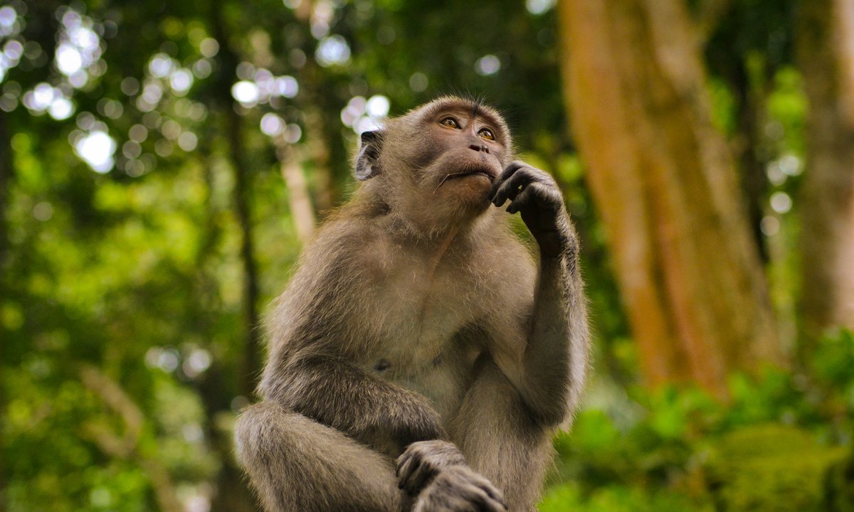 Quiz dla bystrzaków. Powoli, bo szybkie strzały mogą zaboleć