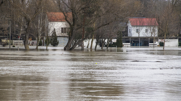 A Tisza tegnap délután kevéssel 800 centiméter alatt tetőzött Tokajnál / Fotó: MTI/Balázs Attila