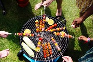 adults-aerial-barbecue-1260310