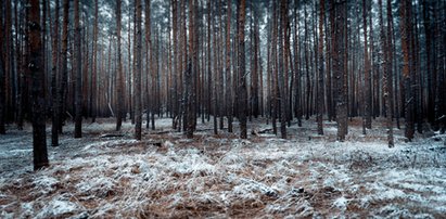 Wszyscy mówią o bożonarodzeniowym cudzie. Kobieta przeżyła morderczy marsz