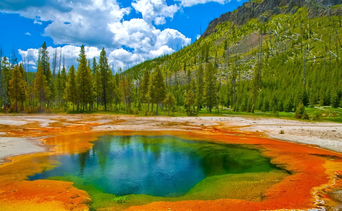 Yellowstone