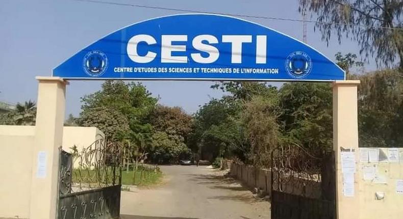 Cesti