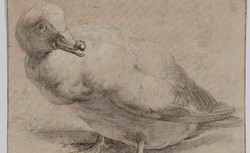 "W warsztacie niderlandzkiego mistrza". Nowa wystawa w Muzeum Narodowym