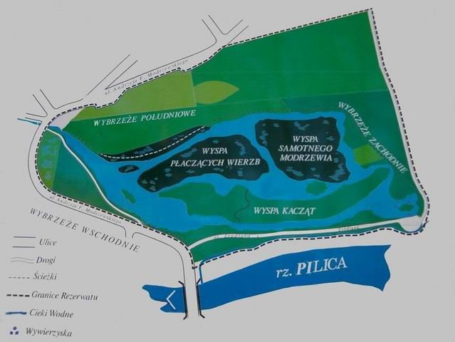 Mapa Rezerwatu przyrody Niebieskie Źródła w Tomaszowie Mazowieckim