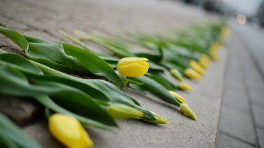 Warszawiacy pamiętają - żółte tulipany na ulicach miasta dla Marii Kaczyńskiej