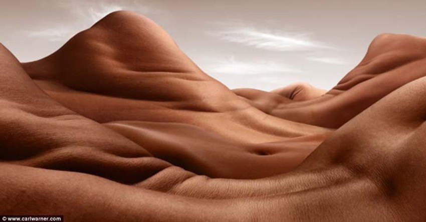 Da li prepoznajete ove delove tela? (FOTO: Carl Warner)