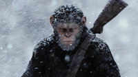 Hivatalos: jön az új Majmok bolygója-film, és már a rendező is megvan