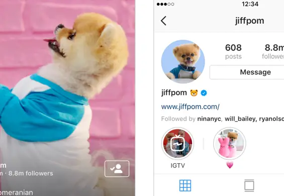 Instagram odpala nowy format wideo. YouTube może zacząć się obawiać