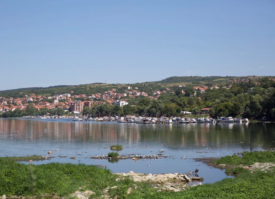 Zagađen rukavac na Adi Huji