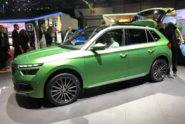 Skoda Kamiq - crossover dla Kowalskiego