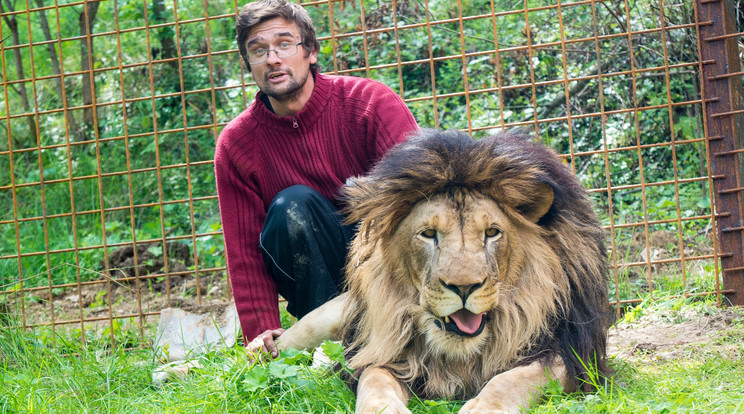 Michal Prasekre nem
először támadt rá Fufi, 
a hím oroszlán / Fotó: Profimedia
