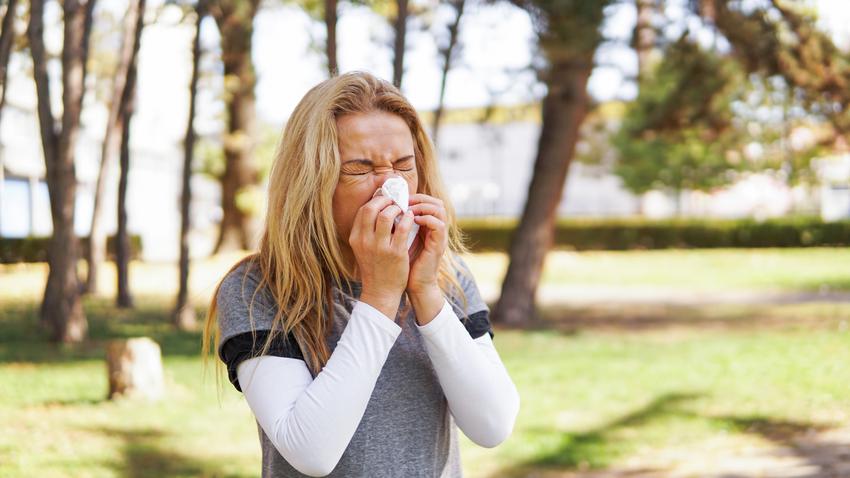 szénanátha, allergia, pollen, asztma