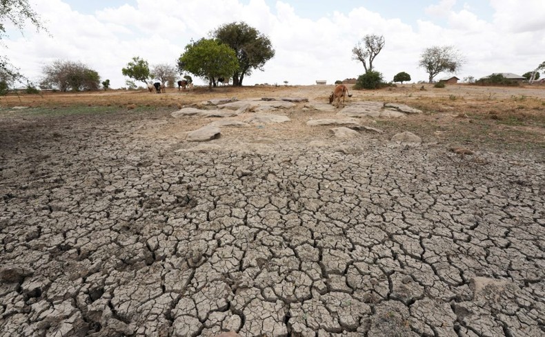 Extreme drought [GettyImages]