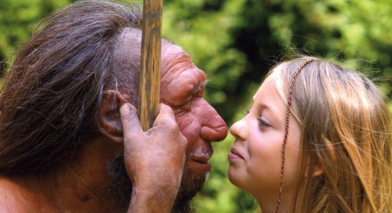 New research suggests Neanderthals couldn't smell some things quite as well as humans.Neanderthal Museum