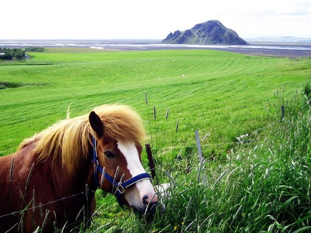 Galeria Islandia, obrazek 5