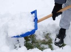 Dramat w sklepach. Zabrakło łopat