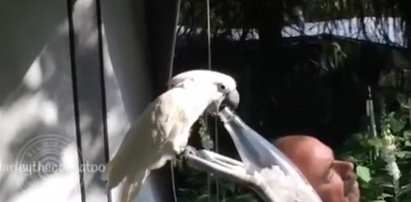 Papuga budzi swojego właściciela butelką