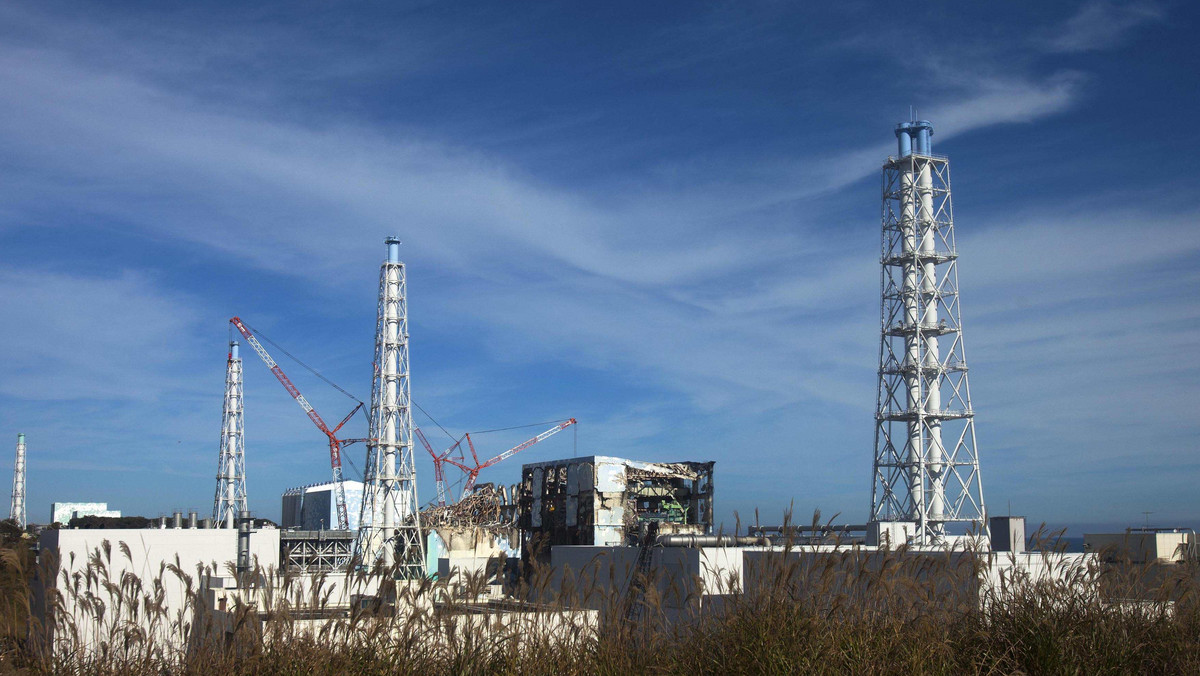 Rząd Japonii przedstawił dzisiaj obliczoną nawet na 40 lat "mapę drogową", która ma doprowadzić do zneutralizowania i wyburzenia elektrowni atomowej Fukushima I, uszkodzonej w marcu w wyniku trzęsienia ziemi i tsunami.