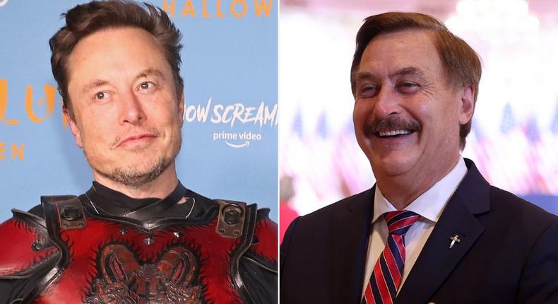 Elon Musk and MyPillow CEO Mike Lindell.Taylor Hill/Getty Images; Joe Raedle/Getty Images