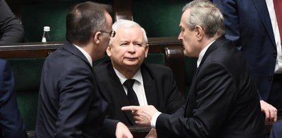 Alarmujący sondaż dla PiS! Ogromna strata, PO tuż za plecami