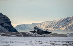 dania da amerykanom to, czego chcą. bez gróźb, po cichu