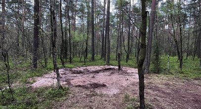 Ile rosyjskich rakiet wleciało do Polski? Co w lasach robią terytorialsi? Ważny człowiek wojska mówi o "tajemnicy"