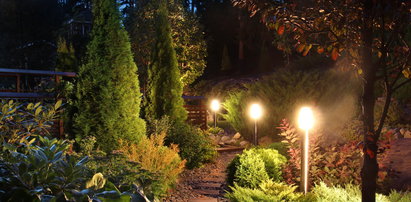 Oświetlenie ogrodu. Polacy pokochali ogrodowe lampy!