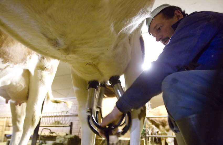 Proizvođači: Dobili smo trenutnu “infuziju“