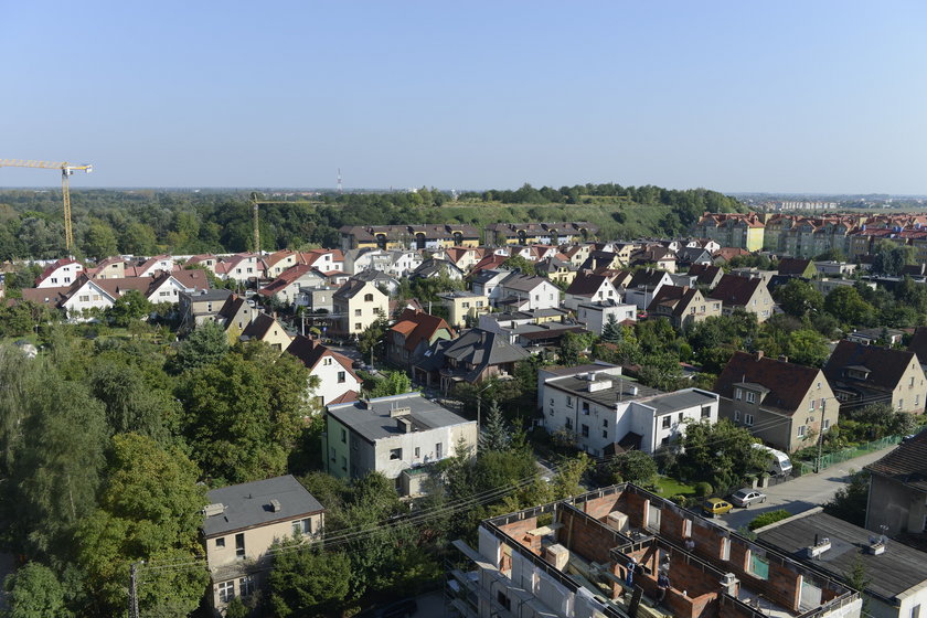 Zielone Wzgórze na wrocławskim Gaju