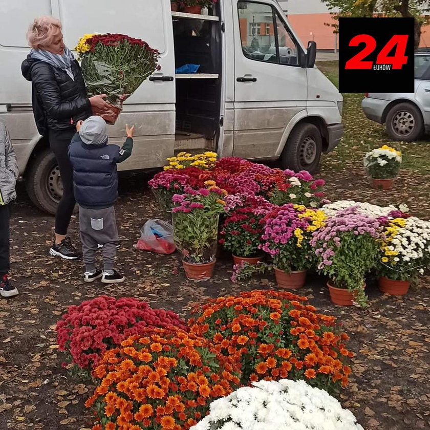 Niezwykły gest łukowianina. To zrobił z chryzantemami