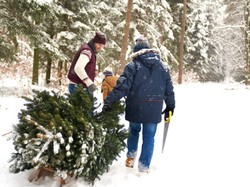 Święta marzeń według Polaków - zbadano, jak powinny wyglądać
