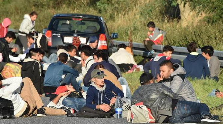 Svédországba menetelő menekültek