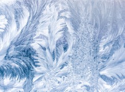 Nowe ofiary mrozów. Trzy osoby zamarzły nocą