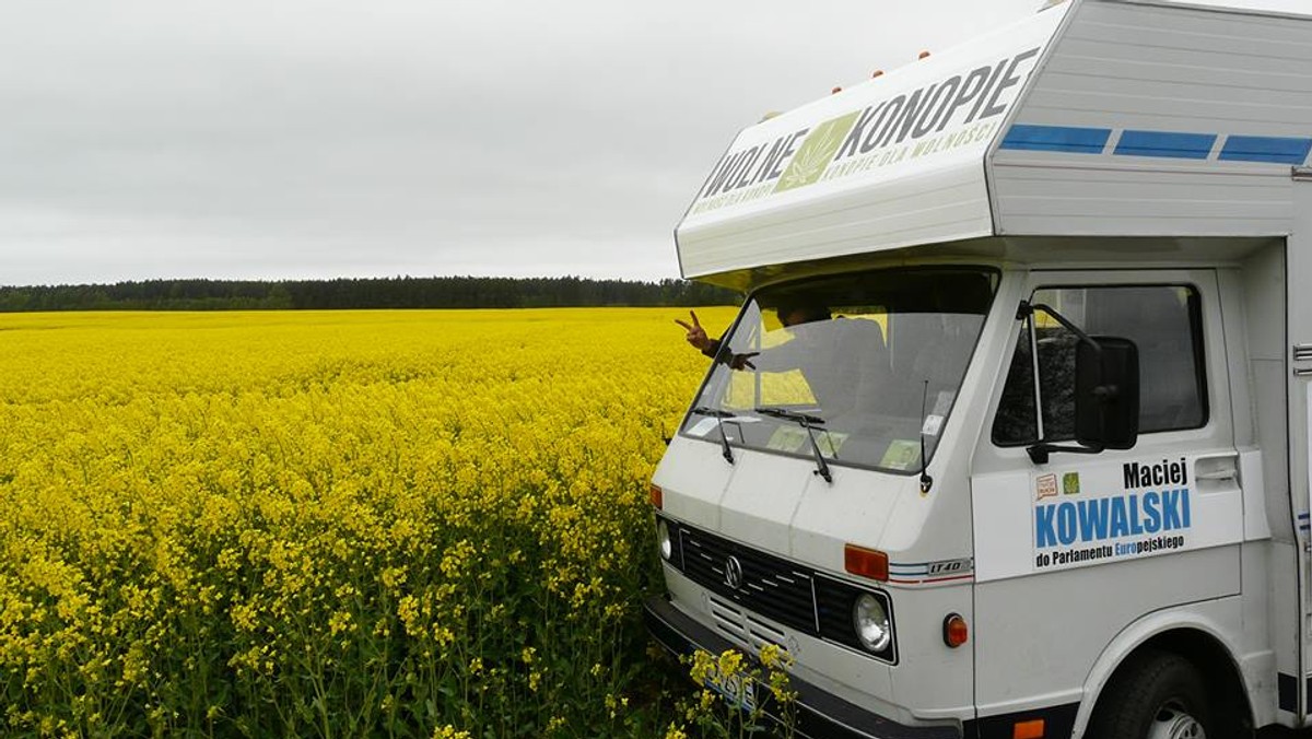 "Nie chodzi o jaranie blantów. Chodzi o coś więcej. 38 milionów Polaków skorzysta na legalizacji marihuany. (...) Nawet Jezus leczył konopiami", zapewnia Maciej Kowalski z ruchu Wolne Konopie, który z listy Europa Plus Twój Ruch startuje w wyborach do Parlamentu Europejskiego. W poniedziałek z Gdyni wyjechał gandziobus, którym Kowalski promować będzie legalizację marihuany.