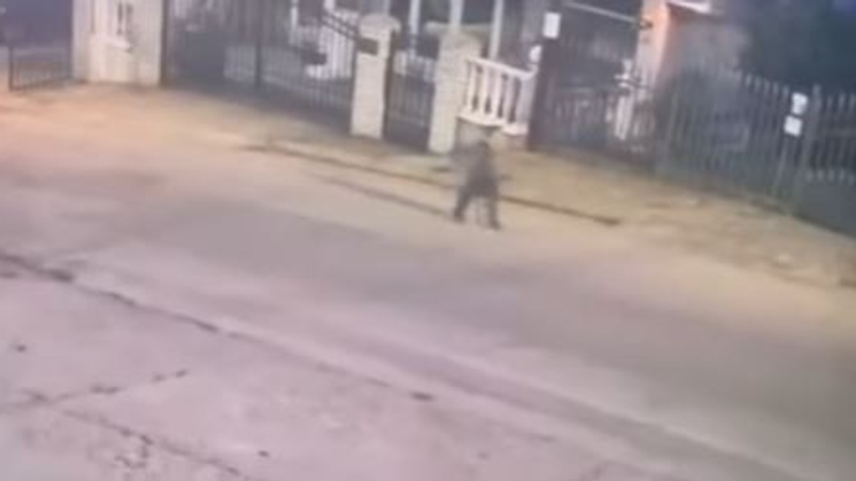 (VIDEO) DVA I PO SATA MISTERIJE Dečak (6) u pidžami šetao ulicom u Nišu, a zatim nestao BEZ TRAGA: Snimak sa nadzorne kamere LEDI KRV, ali posebnu JEZU budi OVO KLJUČNO PITANJE