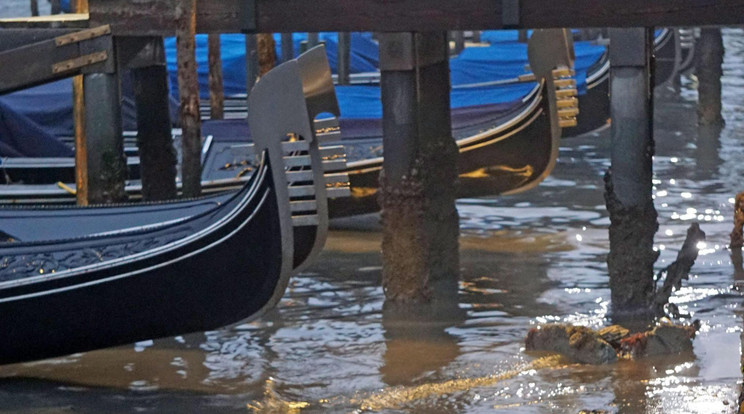Tavaly Velencében még
a szárazság
volt a baj,
a lagúnákból
eltűnt a víz / Fotó: MTI
