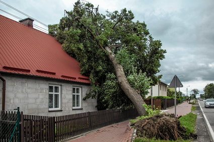 Poszkodowani w nawałnicach nie będą płacić podatku