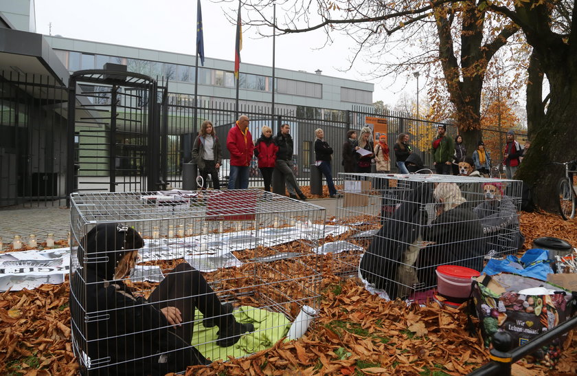 Protest przed Ambasadą Niemiec w Warszawie