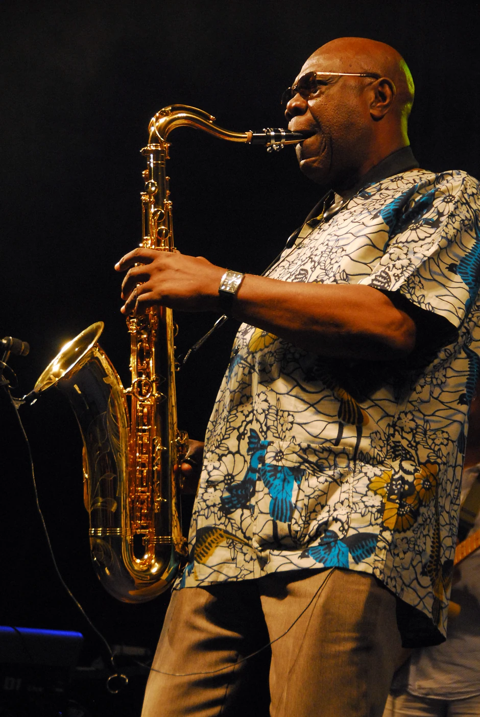 Manu Dibango je na Nišvil džez festivalu 2010.godine dobio specijalnu nagradu za poseban doprinos fuzije afro muzike sa džezom