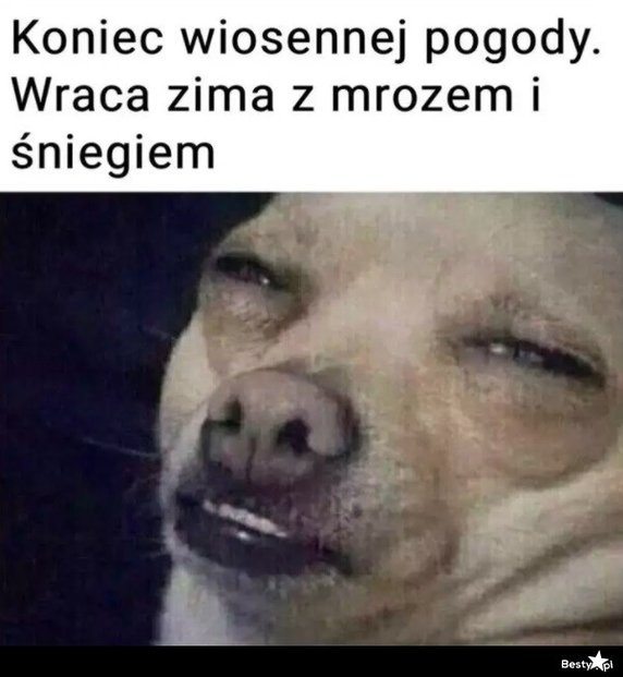 Najlepsze memy o pogodzie w marcu