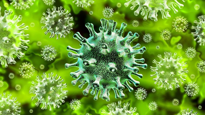 koronavírus, járvány, vuhan, fertőzés