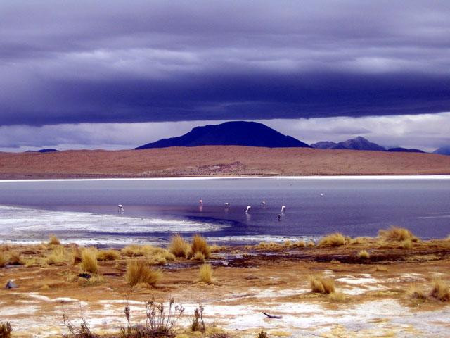 Galeria Boliwia - Altiplano - Tybet Ameryki Południowej, obrazek 22