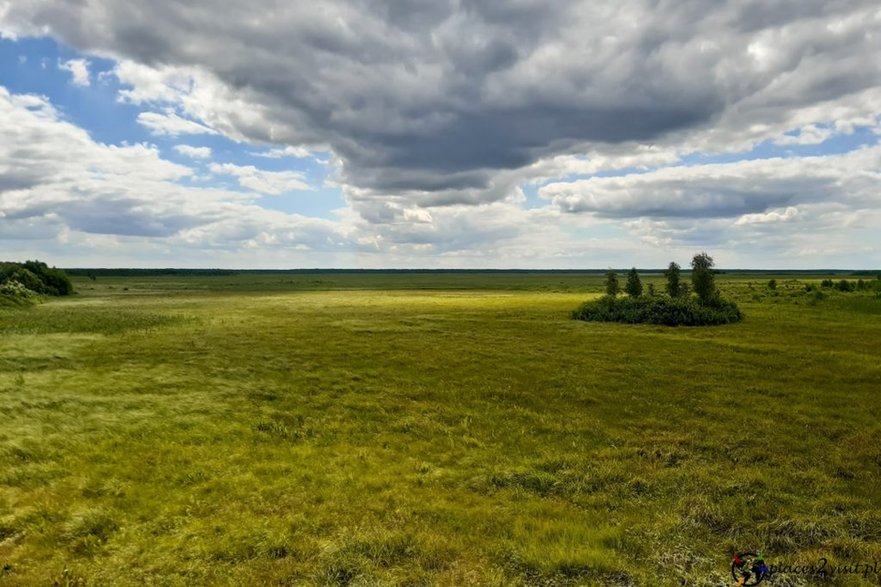 Biebrzański Park Narodowy