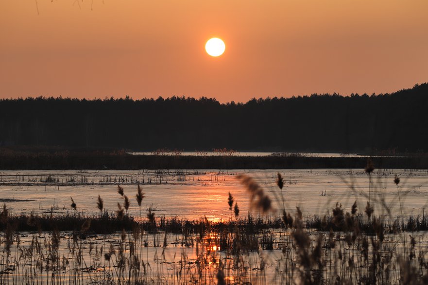 Stawy Milickie, Dolina Baryczy