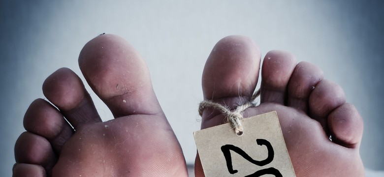 "Trup za kółkiem". Tak nauka wykorzystuje ludzkie ciała po śmierci