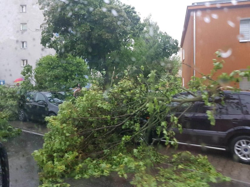 Potężna burza nad Chodzieżą, duże zniszczenia. Burmistrz: Alertu RCB nie było. Był tydzień temu w sprawie wyborów